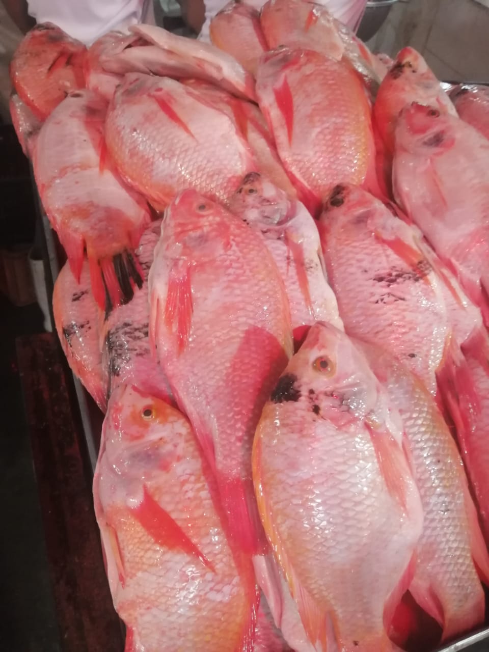 La mojarra es una de las preferidas a la hora de comprar