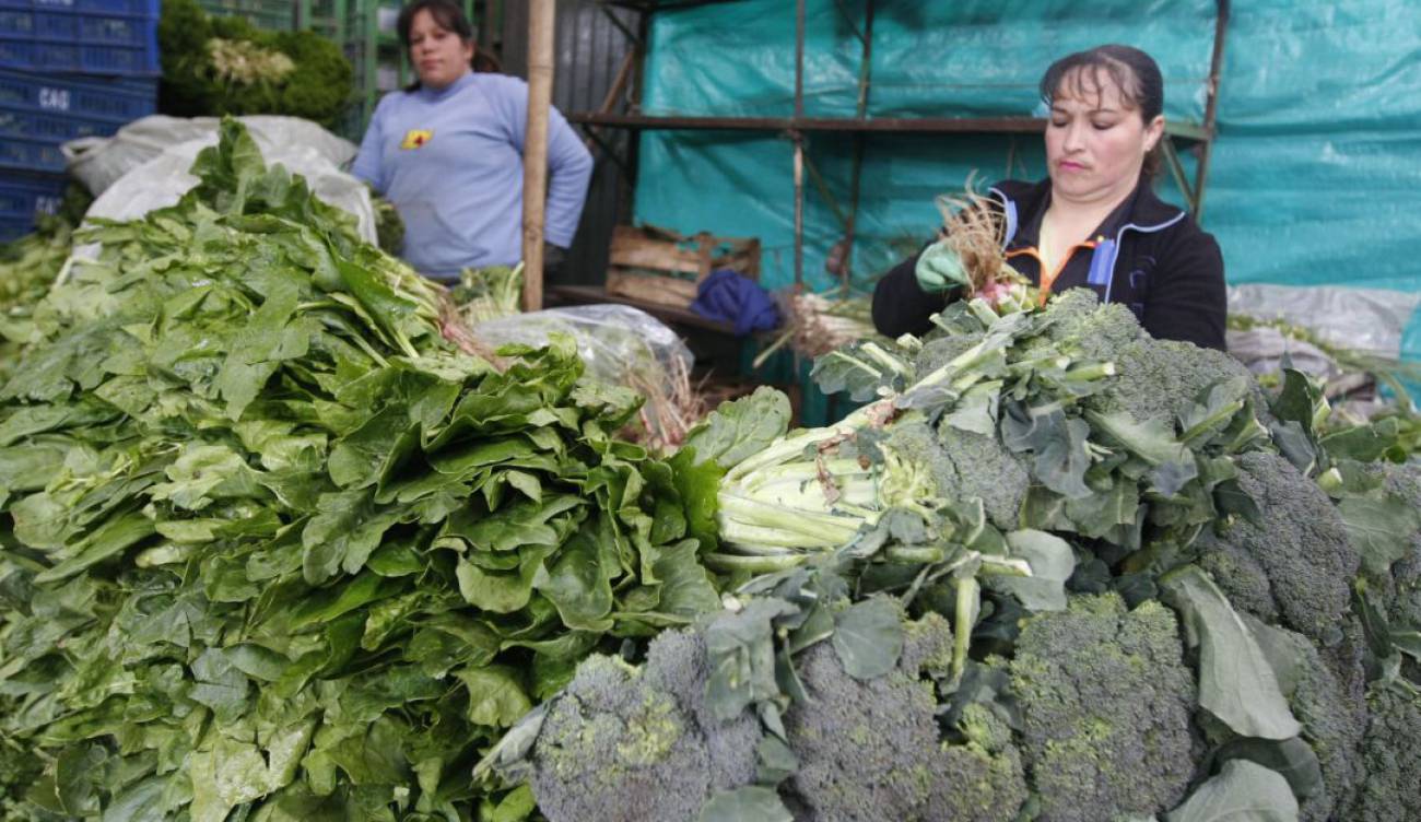 Aunque la diferencia porcentual entre hombres y mujeres a nivel laboral en el Huila, si son ellas las que se llevan la peor parte.