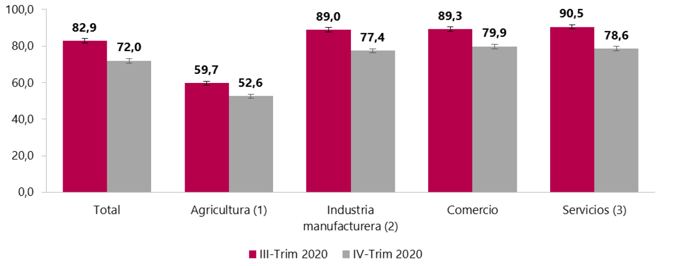 Porcentaje de micronegocios que reportaron disminución en sus ventas o ingresos en comparación con el mismo periodo del año anterior y actividad económica.