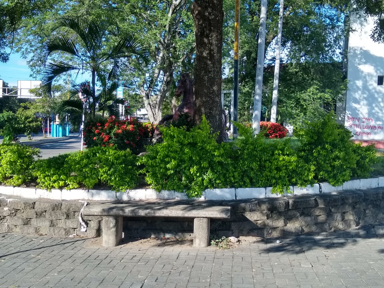 Las jardineras lucen en buen estado. Están bien cuidadas