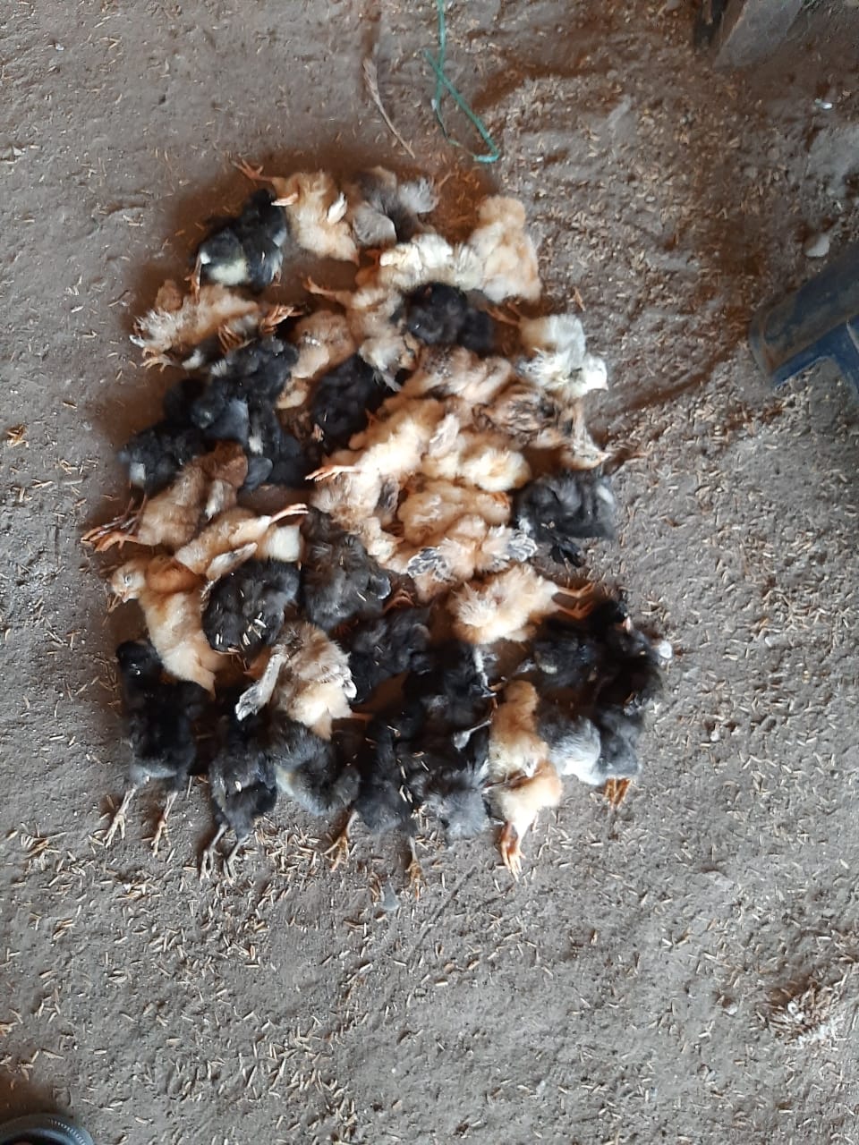 En imágenes, el desalentador panorama por el paro