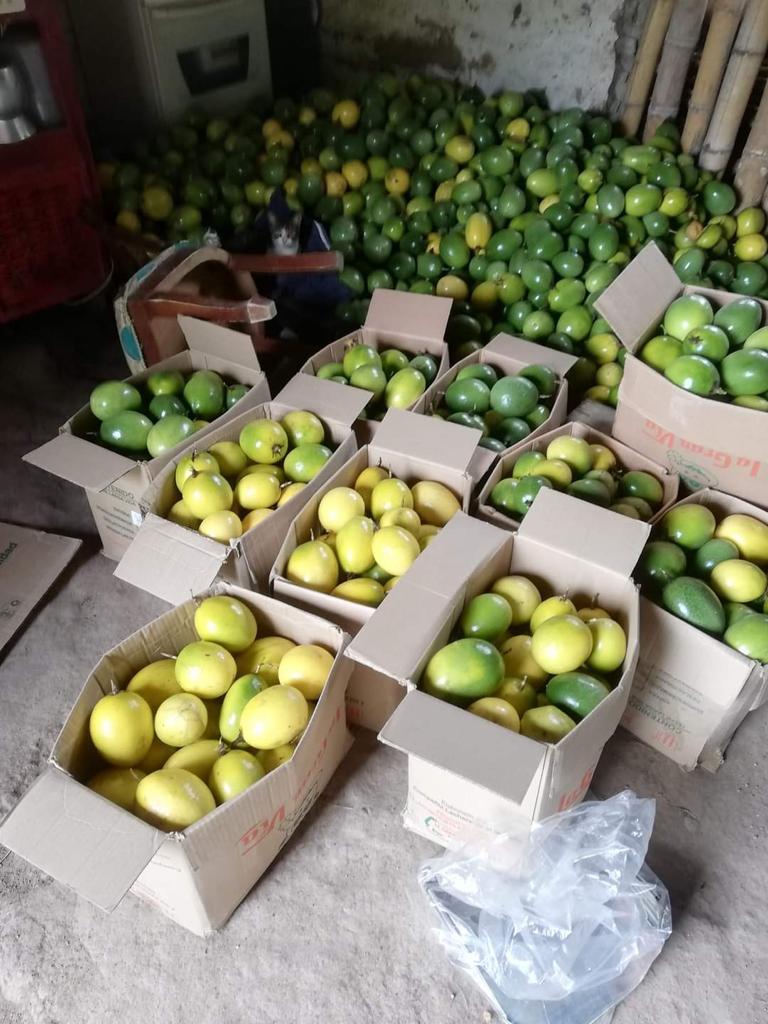 Afectaciones por bloqueos continúan