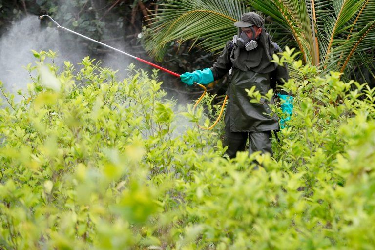 Colombia y EE.UU. se comprometen para fortalecer su lucha contra el narcotráfico