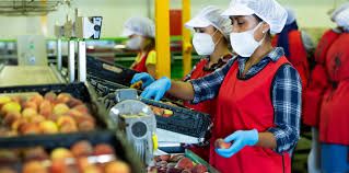 Prohibido pedir exámenes médicos no relacionados con trabajo: Corte Constitucional