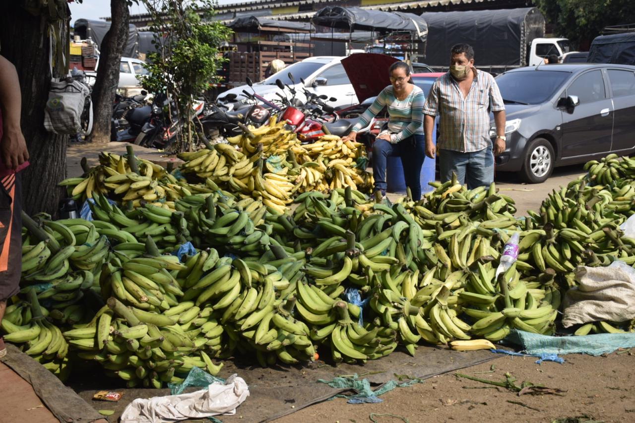 El acopio a los mercados mayoristas esta semana disminuyó en 3,1% con respecto al martes 27 de abril. Entre las centrales que más redujeron el ingreso se encuentra Surabastos en Neiva.