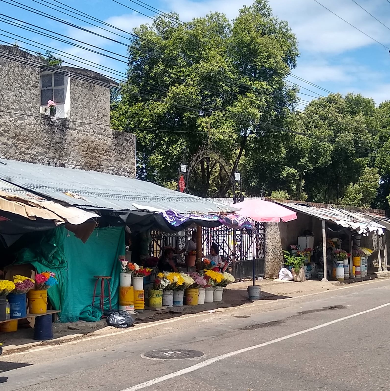 Vendedores de flores del cementerio central sobreviven en medio de la crisis