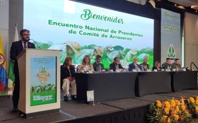 Arroceros exigen reducción de costos, lucha contra el contrabando y mayor seguridad rural