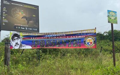 Pasacalles fueron instalados en Campoalegre alusivos a la Segunda Marquetalia