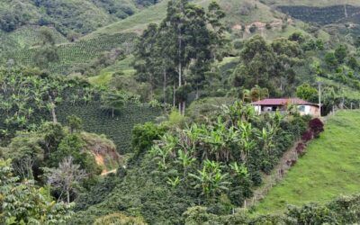 FAO incorpora al Huila en estrategia mundial para fortalecer organizaciones rurales