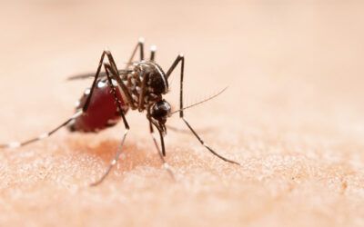 MinSalud aprobó al Huila para plan piloto de vacunación del dengue