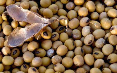 Gobierno fija en 0% el arancel para las importaciones de 76 insumos agropecuarios