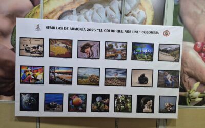 Semillas de armonía 2025: el arte que florece en el Huila