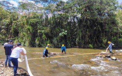 Empieza a restablecerse el servicio de agua en Pitalito tras emergencia ambiental
