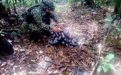 Ejército destruyó 59 explosivos del Bloque Jorge Suárez Briceño en Caquetá