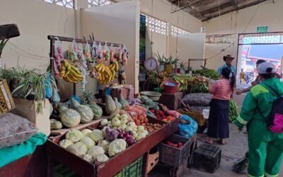 Graves fallas en la administración de la plaza de mercado de Acevedo