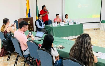 Avanza la certificación de discapacidad en los municipios del Huila