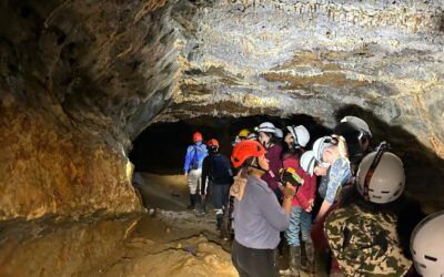 Parques Nacionales Naturales del Huila, ¿Cómo se encuentran?