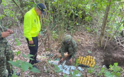 Ejército destruyó depósito de las disidencias en Palermo, Huila