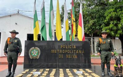 Canino antinarcóticos detectó 50 paquetes de marihuana en una encomienda en Neiva